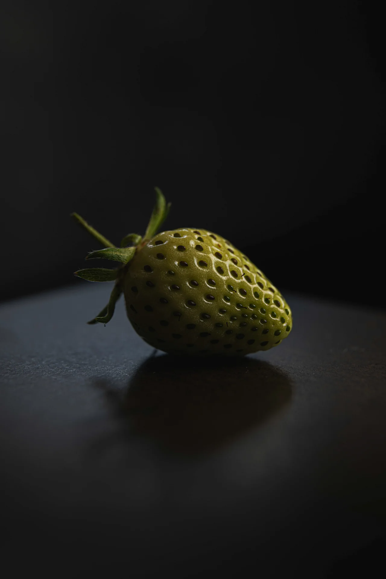 Fotografia del progetto Materiaprima realizzata da N°76 Studio, Italia 2025 (8)
